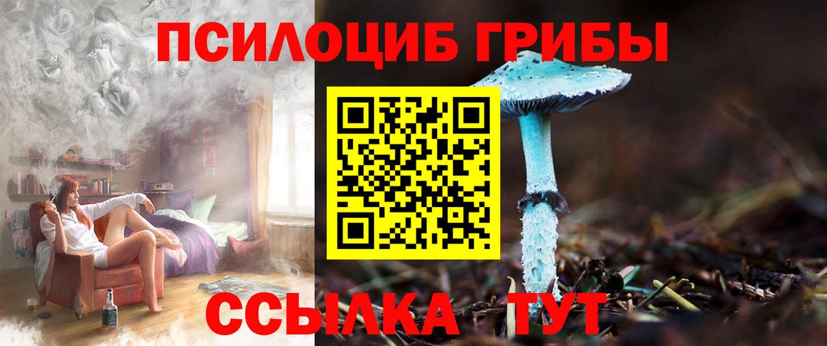 Галлюциногенные грибы Psilocybe  Галлюциногенные грибы ЛСД  Вход с VPN  Мелеуз 